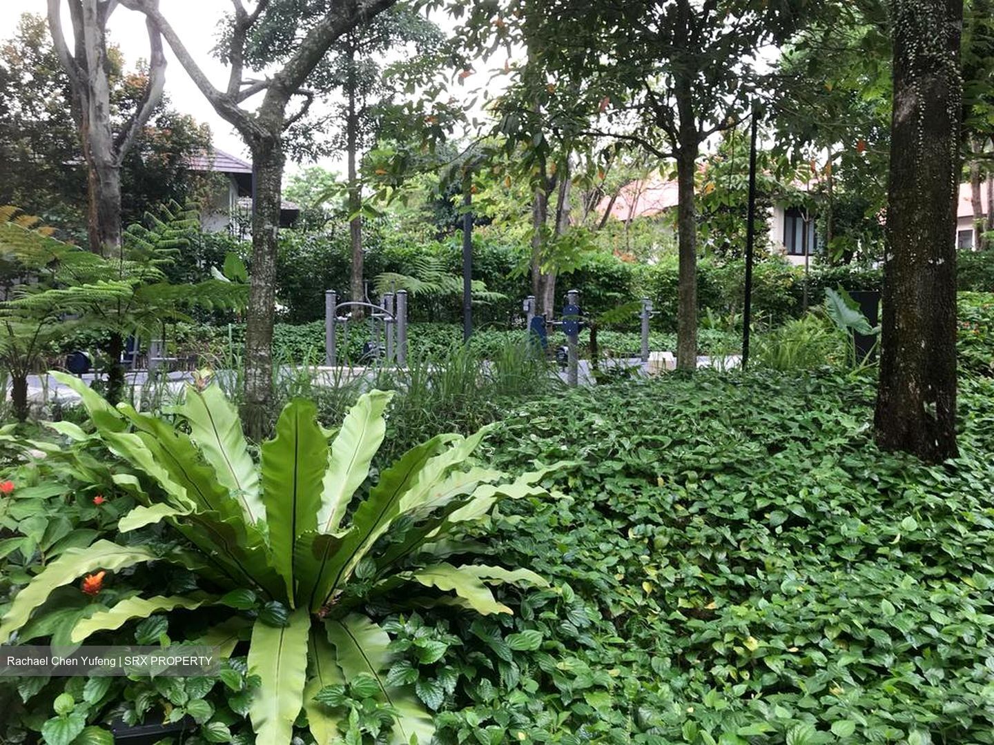 Leedon Residence (D10), Condominium #519058421